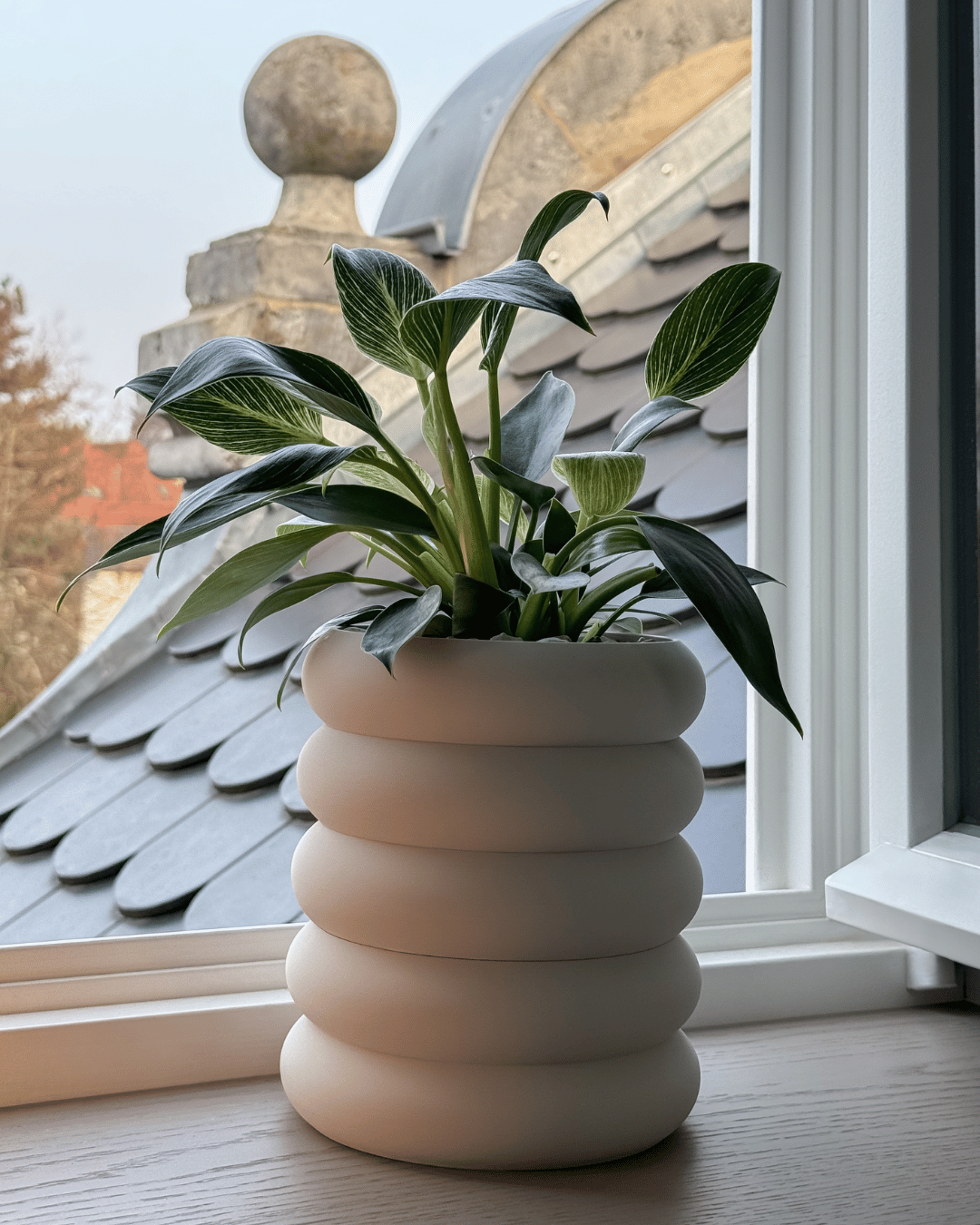 Self-watering “Björn”