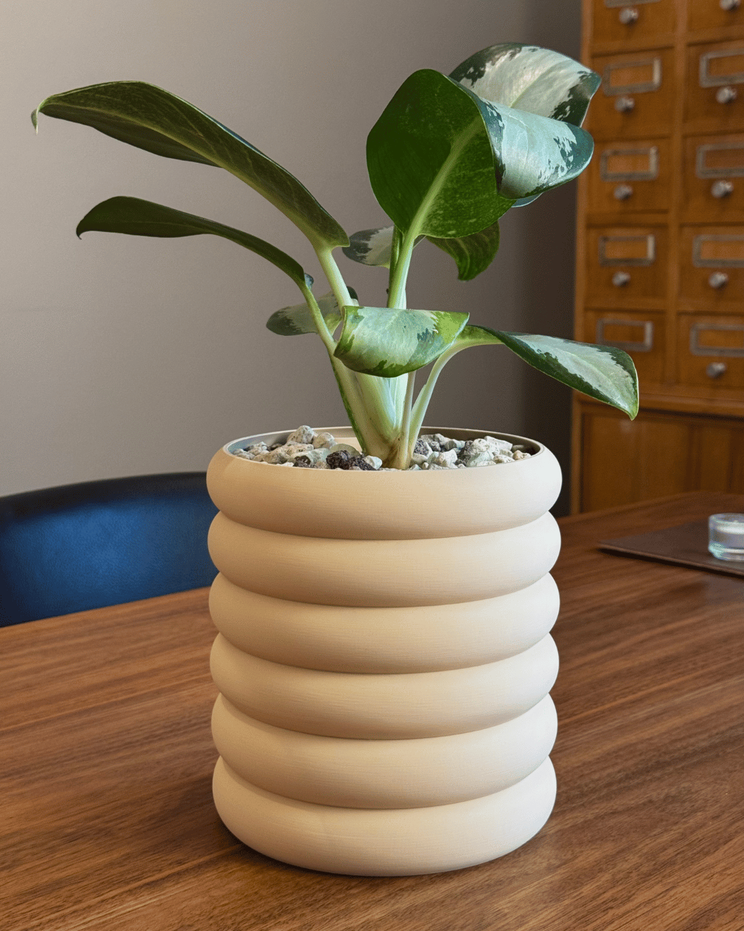 Self-watering “Björn”
