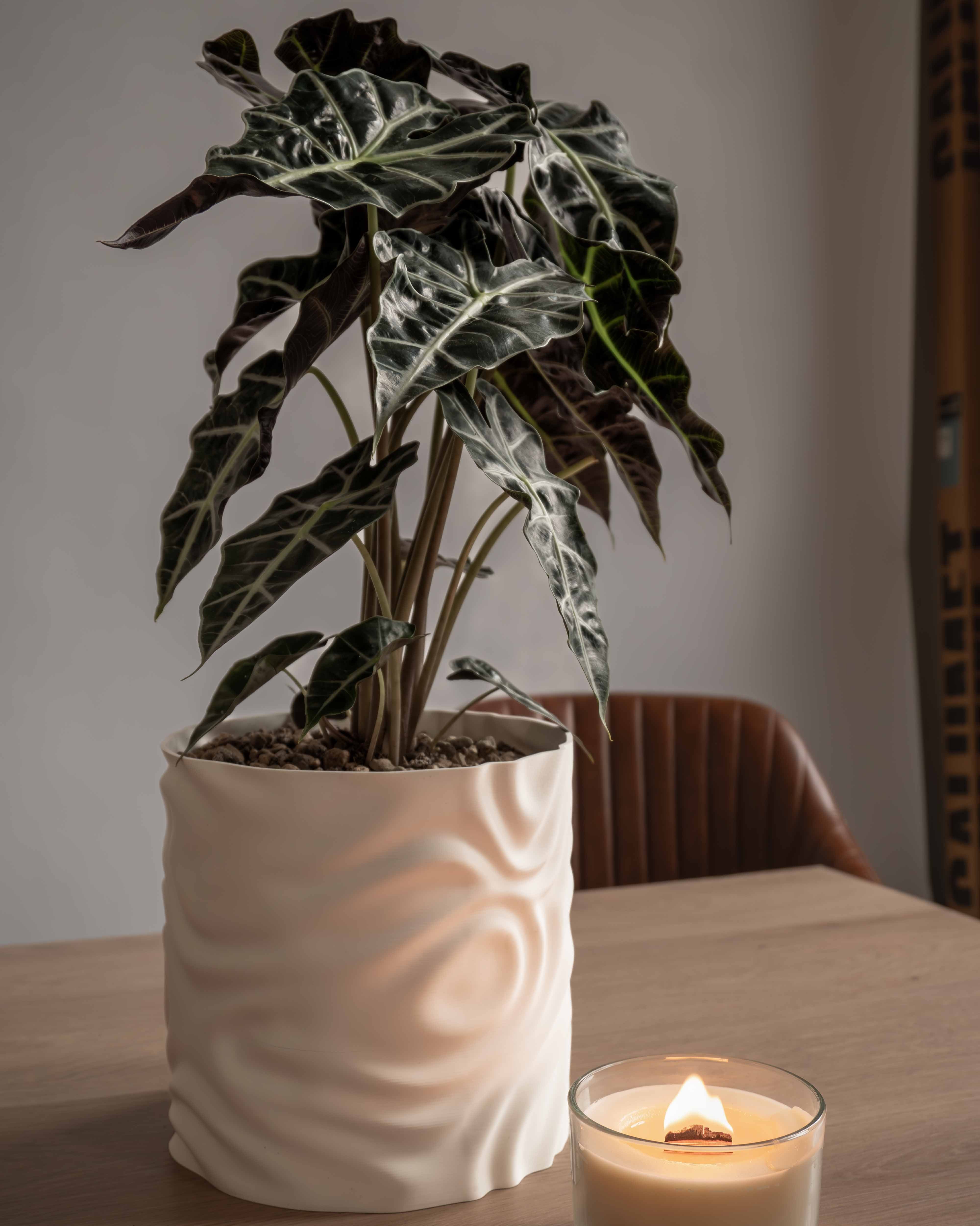 Self-watering “Olivia”
