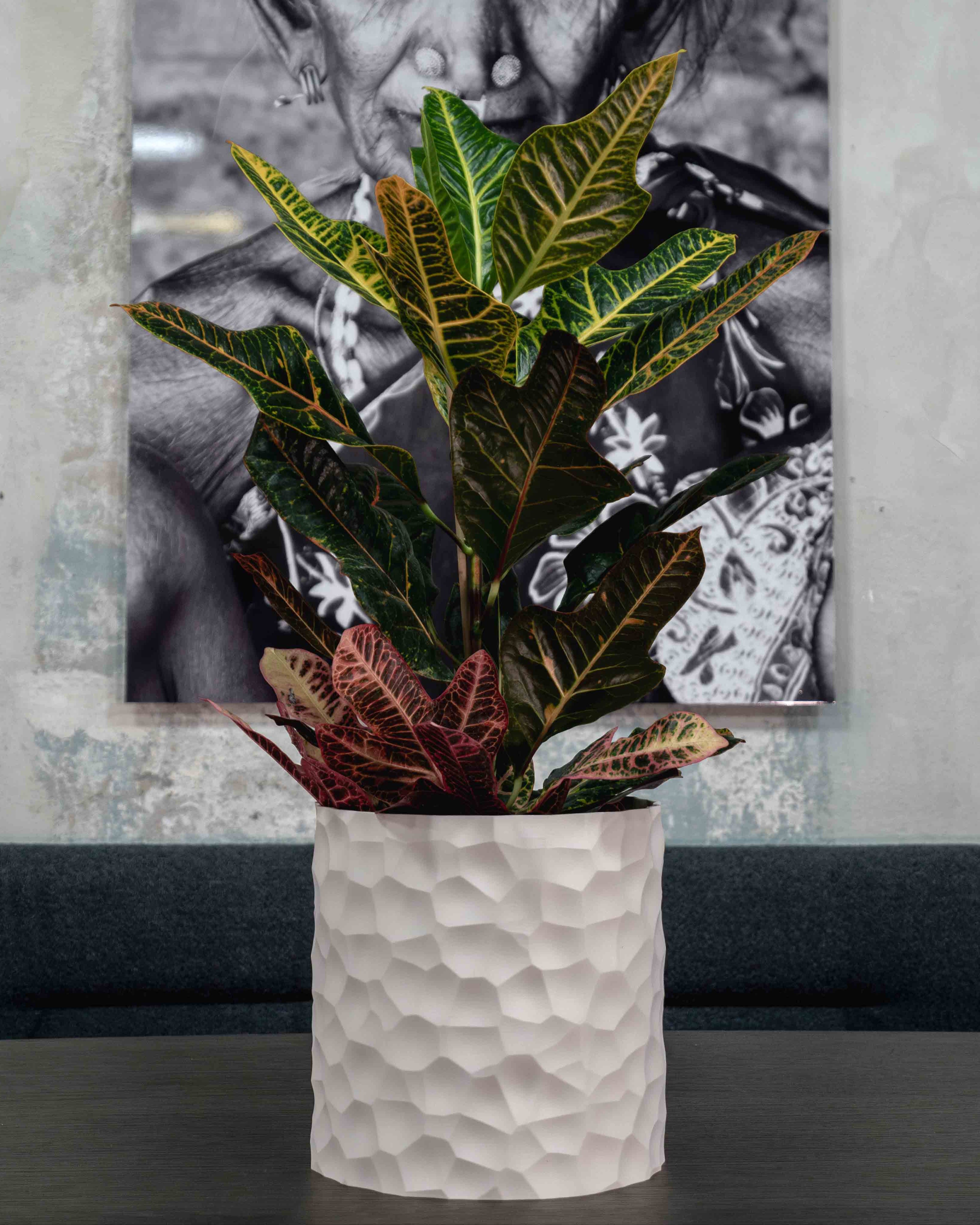 Self-watering "Oscar"