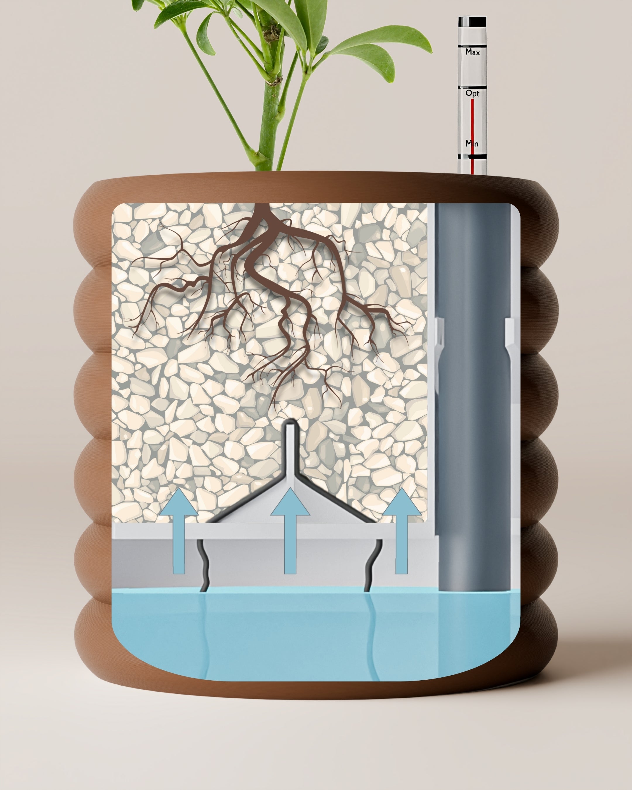 Self-watering “Björn”