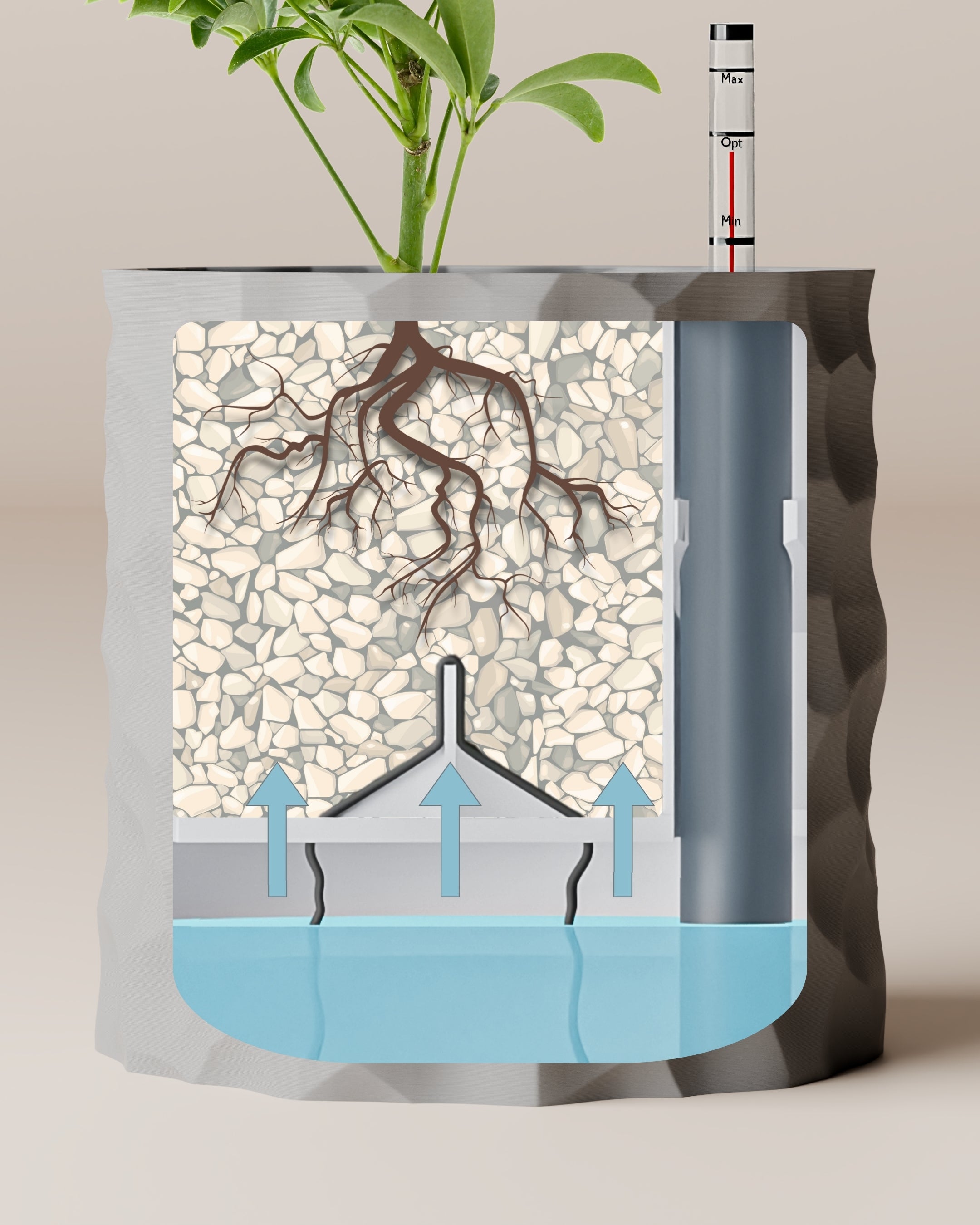 Self-watering "Oscar"