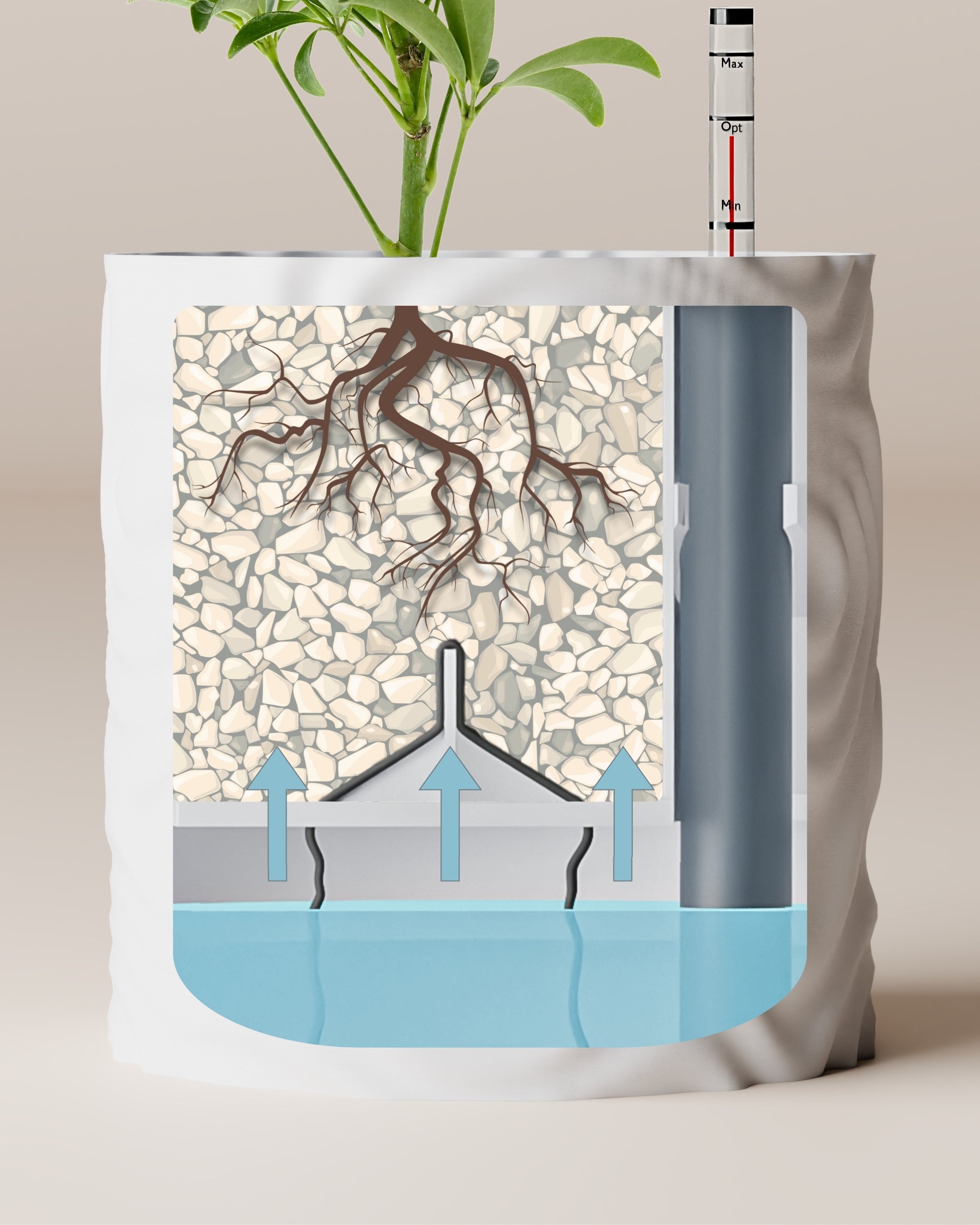 Self-watering “Olivia”