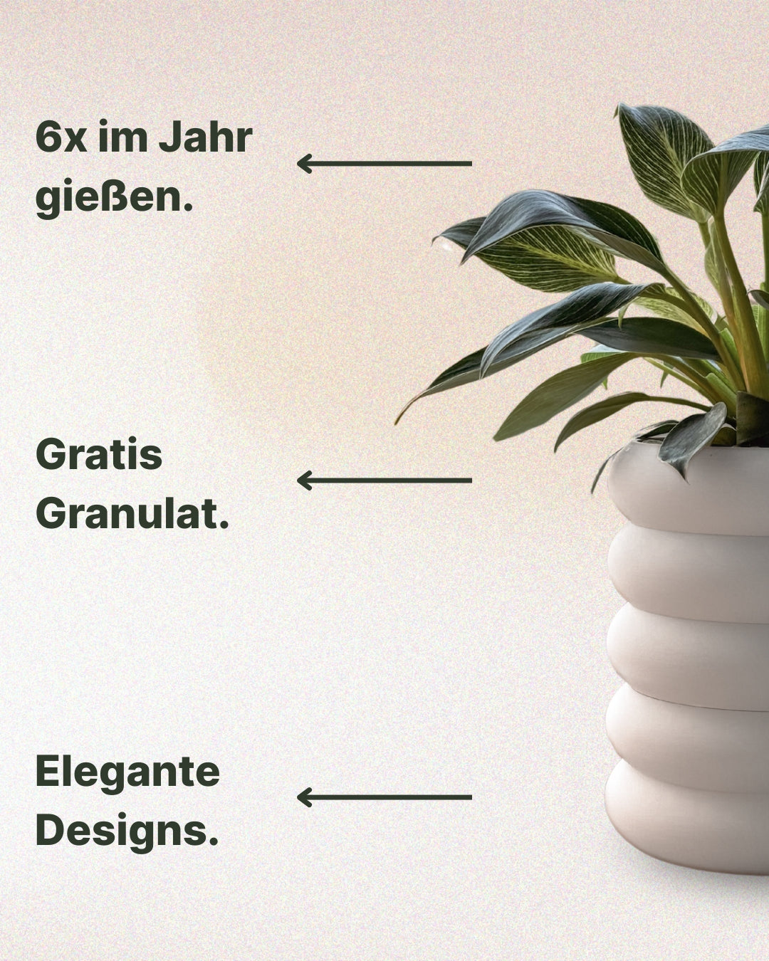 Selbstbewässernde &quot;Nele&quot;