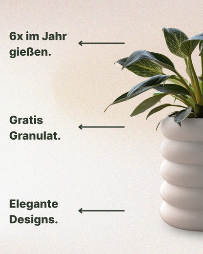 Selbstbewässernde &quot;Nele&quot;