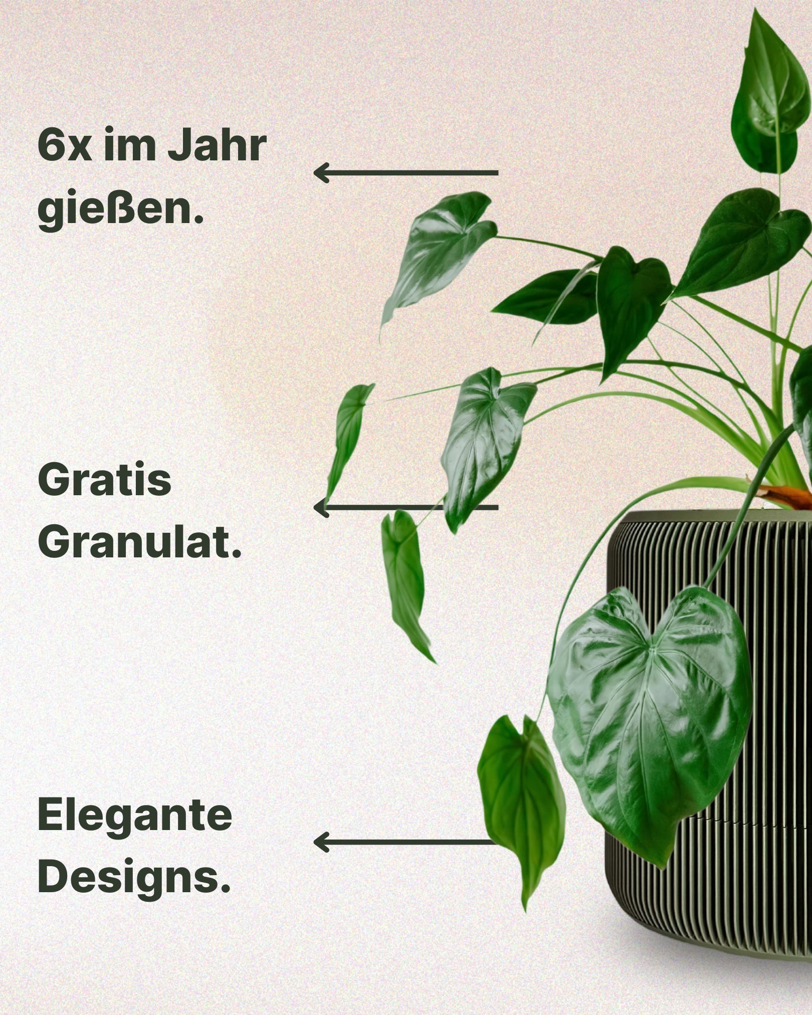 Selbstbewässernde “Isabelle”