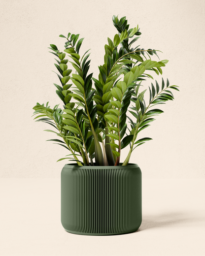 Plant pot “Isabelle”