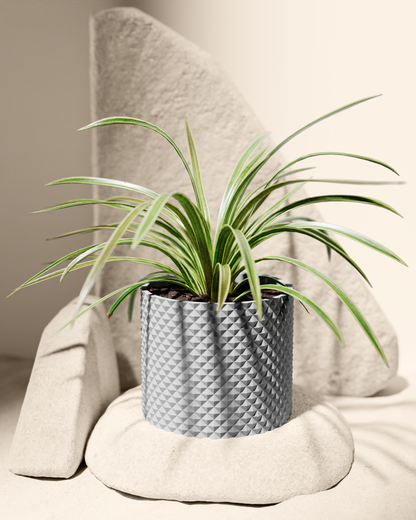 Plant pot “Levent”