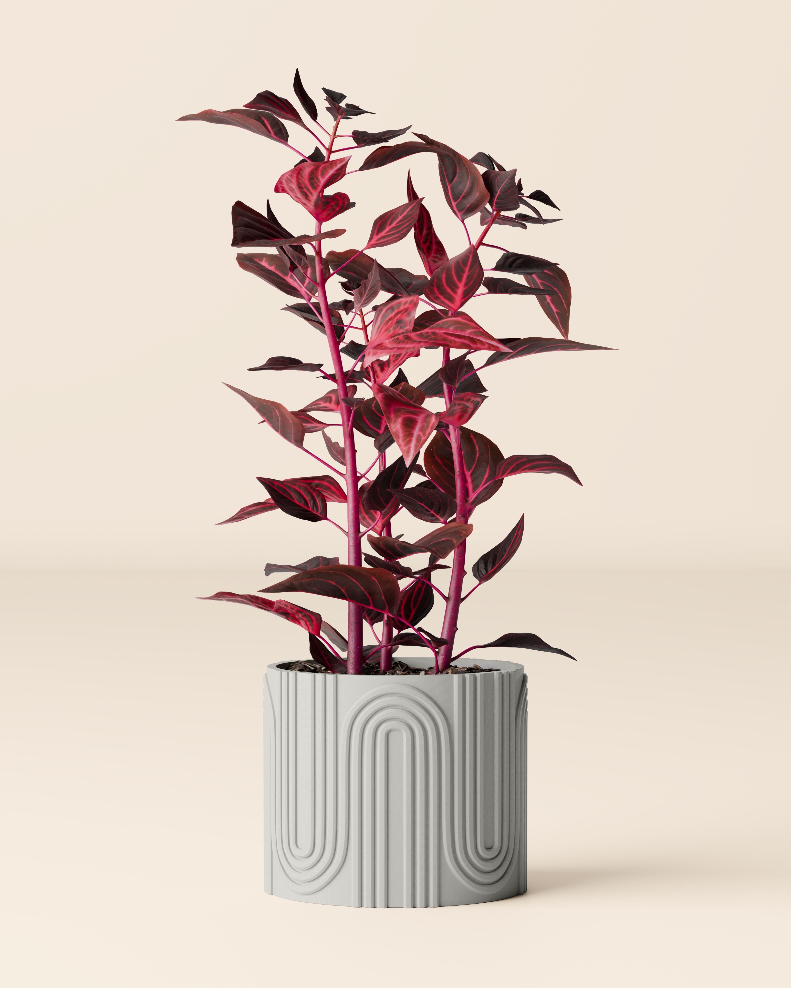 Plant pot “Nele”