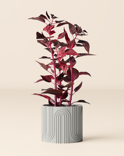 Plant pot “Nele”