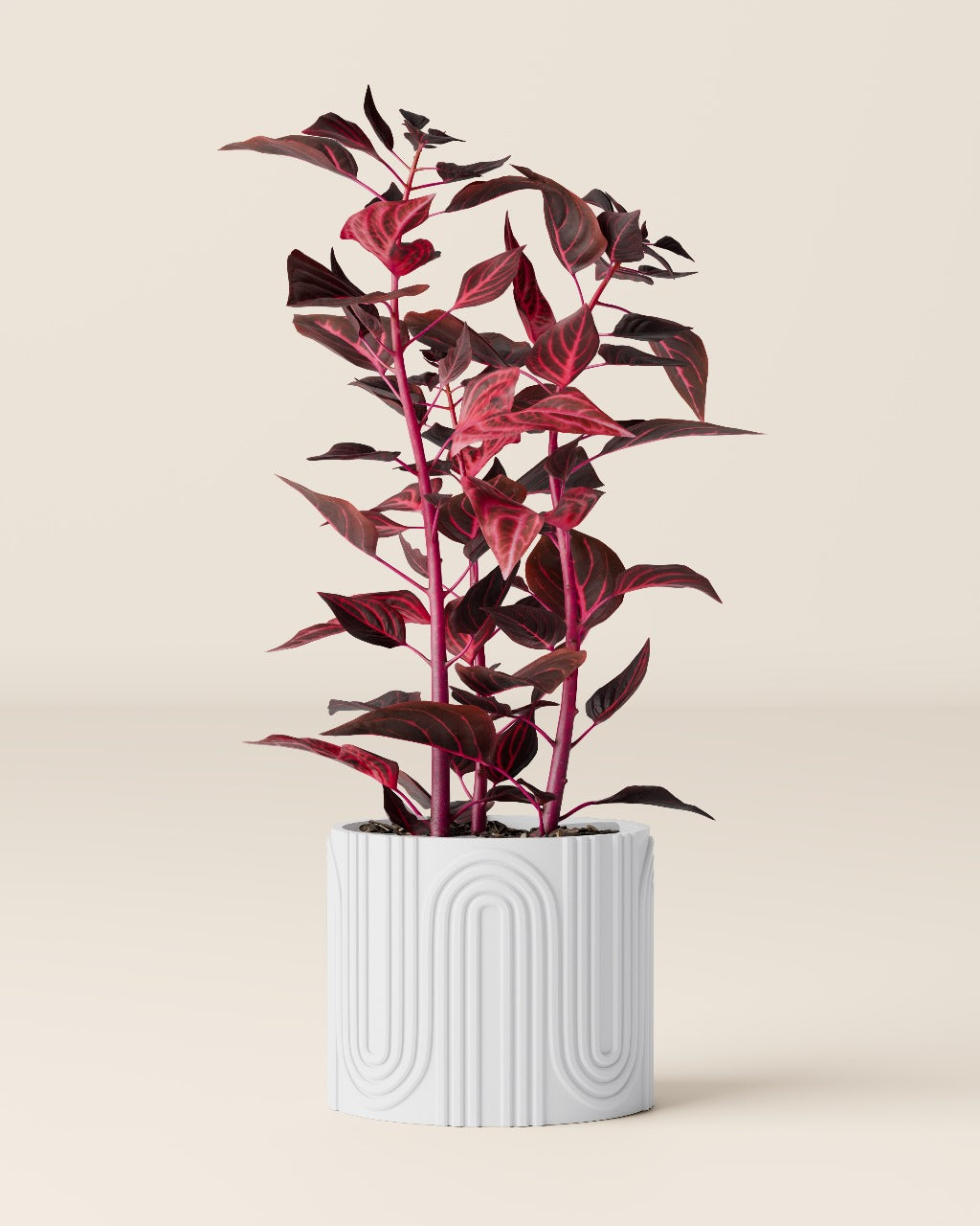 Plant pot “Nele”